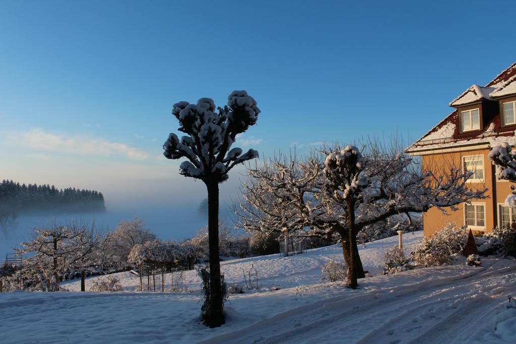 Gaestehaus Schloss Kronburg ภายนอก รูปภาพ